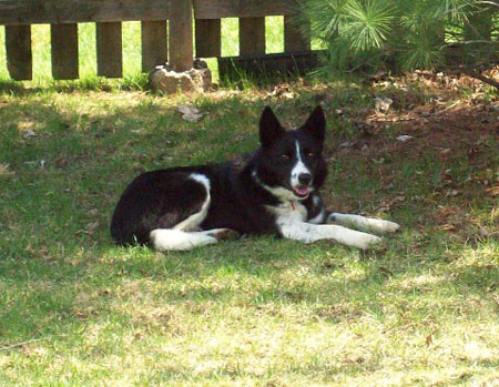 Just chillin' in my new yard.